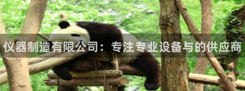 星欧娱乐公司老板背景：仪器制造有限公司：专注专业设备与的供应