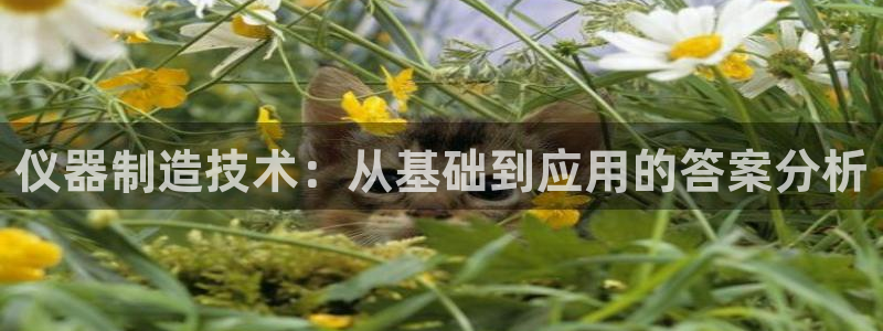 澳门欧星娱乐：仪器制造技术：从基础到应用的答案分析
