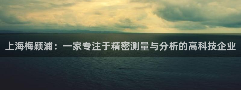 欧星国际娱乐：上海梅颖浦：一家专注于精密测量与分析的高科技企