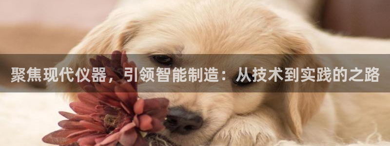 欧亿2娱乐诗星22650j：聚焦现代仪器，引领智能制造：从技