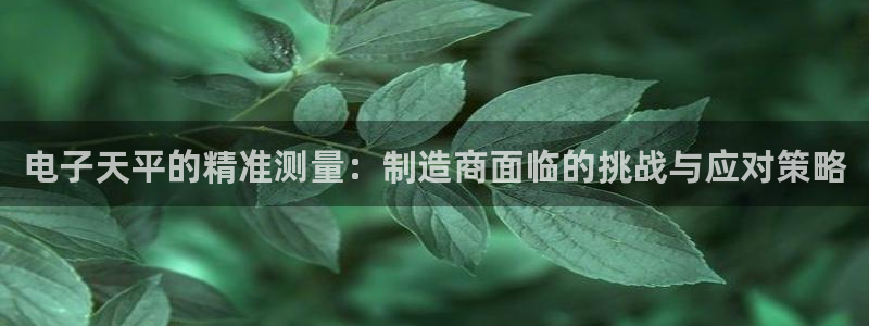 星欧娱乐扣费处理方法：电子天平的精准测量：制造商面临的挑战与