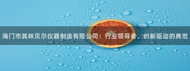 星欧娱乐公司老板背景：海门市其林贝尔仪器制造有限公司：行业领