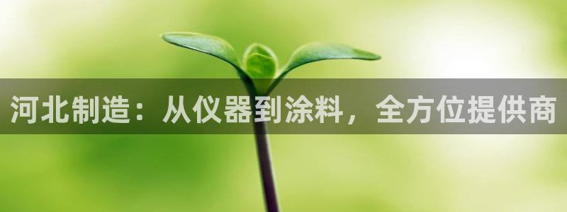星欧娱乐登录注册：河北制造：从仪器到涂料，全方位提供商