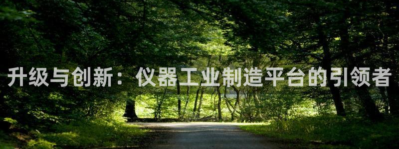 小西门欧乐星城娱乐项目：升级与创新：仪器工业制造平台的引领者