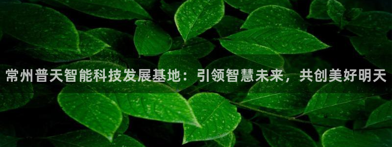 星欧娱乐客服人工电话：常州普天智能科技发展基地：引领智慧未来