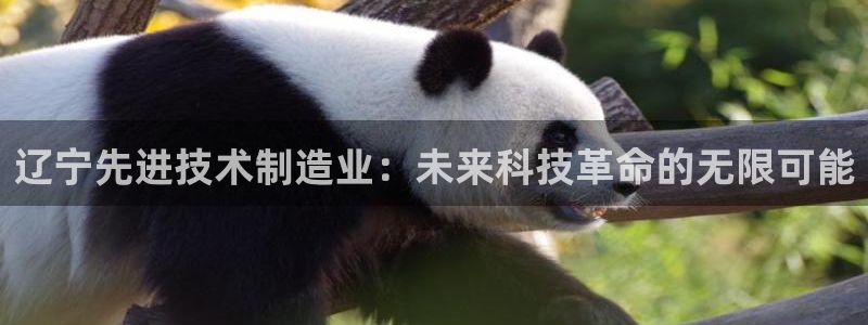 欧星娱乐怎么样：辽宁先进技术制造业：未来科技革命的无限可能