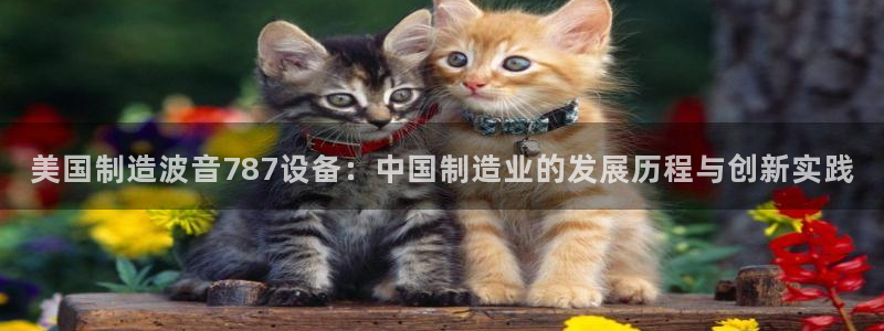 星欧娱乐平台电话：美国制造波音787设备：中国制造业的发展历