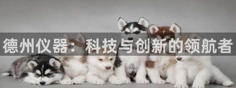 星欧娱乐登录网页版登录：德州仪器：科技与创新的领航者