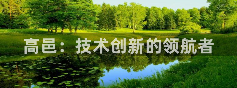 星欧娱乐主管：高邑：技术创新的领航者