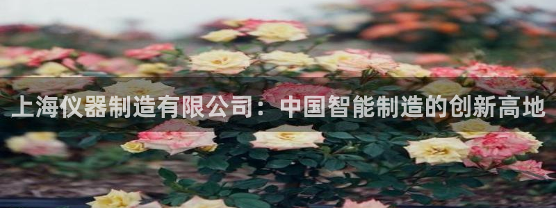星欧娱乐官网