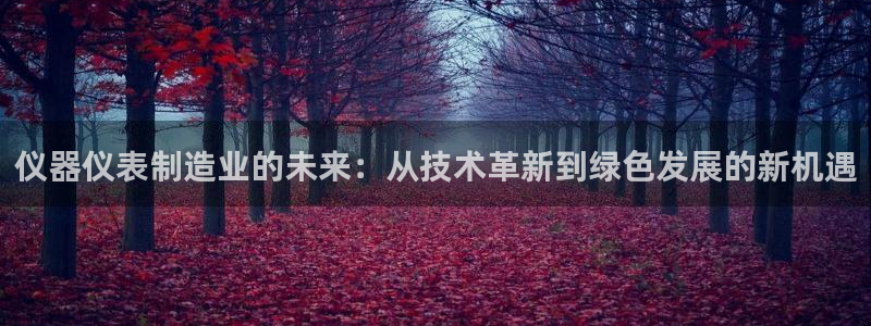 欧赫娱乐 超级星学院：仪器仪表制造业的未来：从技术革新到绿色