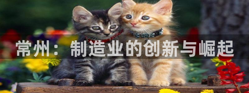星欧娱乐扣钱是客服电话：常州：制造业的创新与崛起