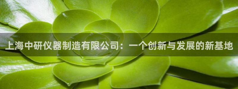 星欧娱乐登录后怎么登录：上海中研仪器制造有限公司：一个创新与