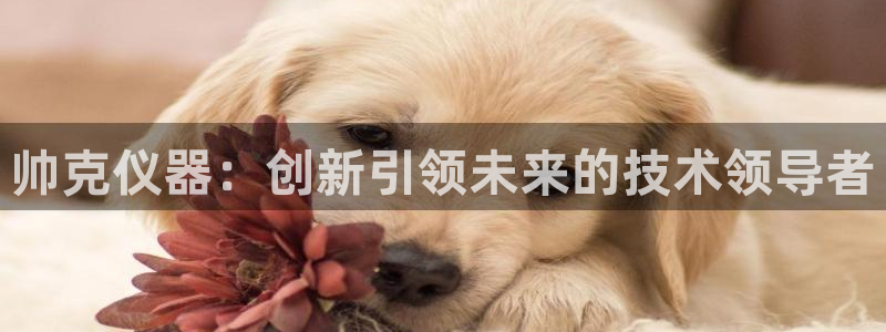 星欧娱乐app注册：帅克仪器：创新引领未来的技术领导者