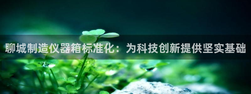 星欧娱乐官网在线登录：聊城制造仪器箱标准化：为科技创新提供坚