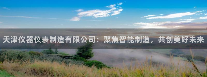 星欧娱乐下载最新版：天津仪器仪表制造有限公司：聚焦智能制造，