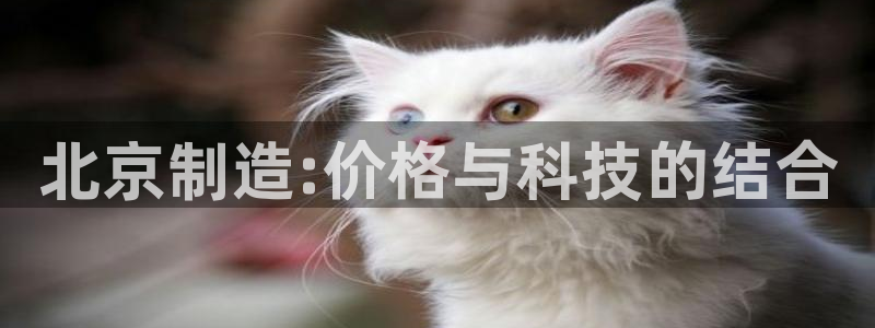 欧星娱乐是做什么的：北京制造:价格与科技的结合