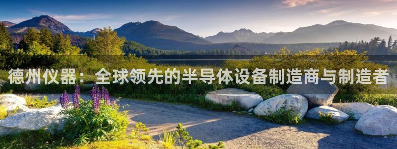 欧星娱乐公司：德州仪器：全球领先的半导体设备制造商与制造者