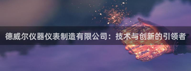星欧娱乐最新动态消息：德威尔仪器仪表制造有限公司：技术与创新