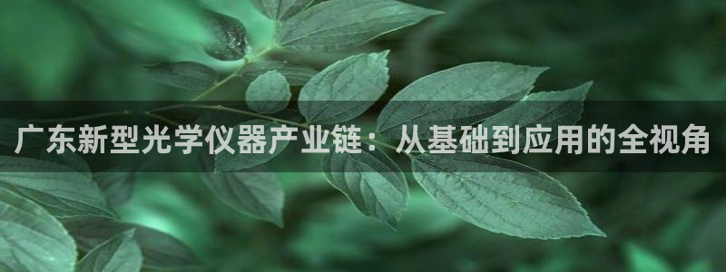 艾欧尼亚三星娱乐赛：广东新型光学仪器产业链：从基础到应用的全