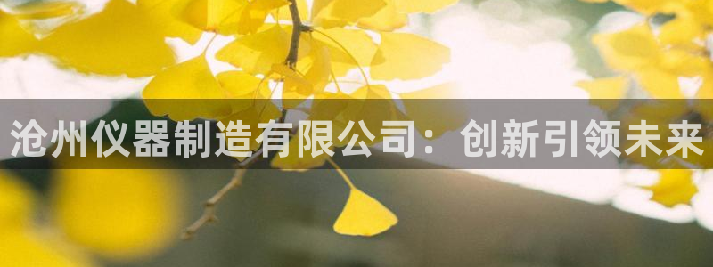 欧星娱乐注册：沧州仪器制造有限公司：创新引领未来