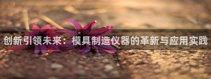 星欧娱乐注册登录：创新引领未来：模具制造仪器的革新与应用实践