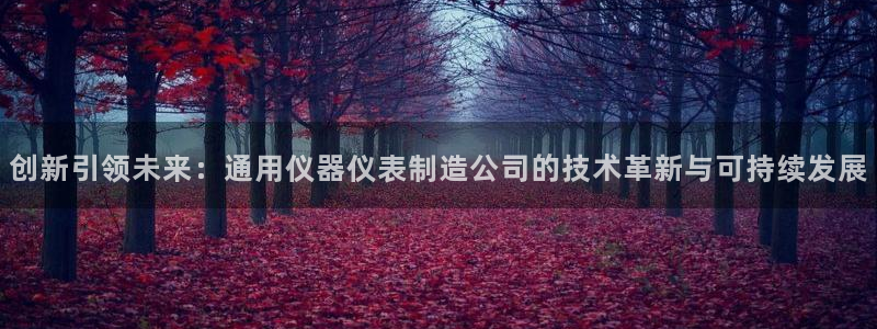 星欧娱乐官方微博：创新引领未来：通用仪器仪表制造公司的技术革
