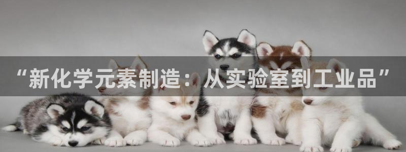 星欧娱乐登陆：“新化学元素制造：从实验室到工业品”