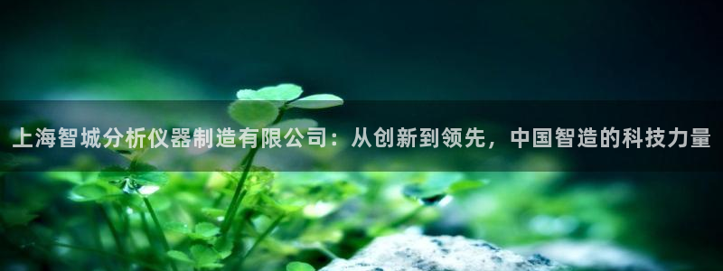 星欧娱乐联客服联系方式：上海智城分析仪器制造有限公司：从创新