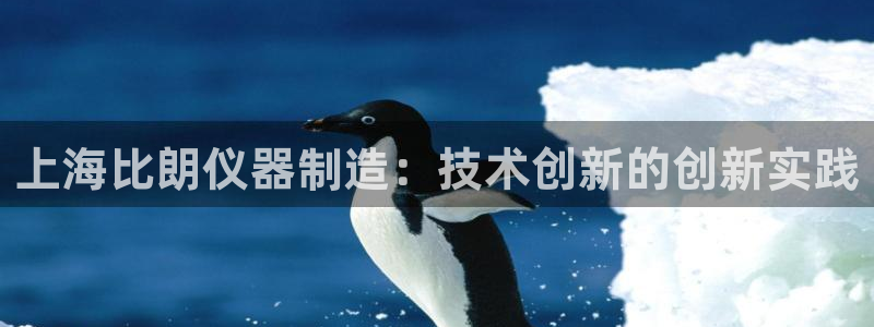 星欧娱乐606251：上海比朗仪器制造：技术创新的创新实践