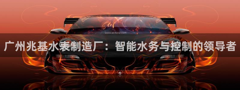 欧星娱乐平台：广州兆基水表制造厂：智能水务与控制的领导者
