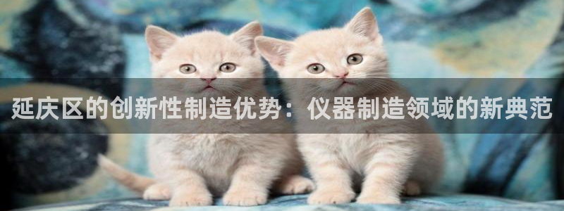 星欧娱乐注册登录入口：延庆区的创新性制造优势：仪器制造领域的