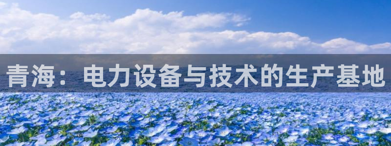 星欧平台娱乐注册的方式：青海：电力设备与技术的生产基地