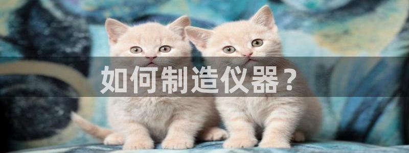 欧星娱乐平台是黑的吗：如何制造仪器？