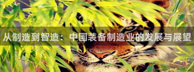 欧汇星娱乐城：从制造到智造：中国装备制造业的发展与展望