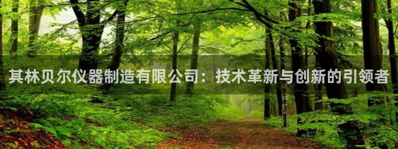 星欧娱乐：其林贝尔仪器制造有限公司：技术革新与创新的引领者