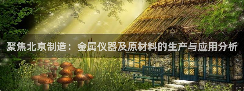 星欧娱乐官网免费下载：聚焦北京制造：金属仪器及原材料的生产与