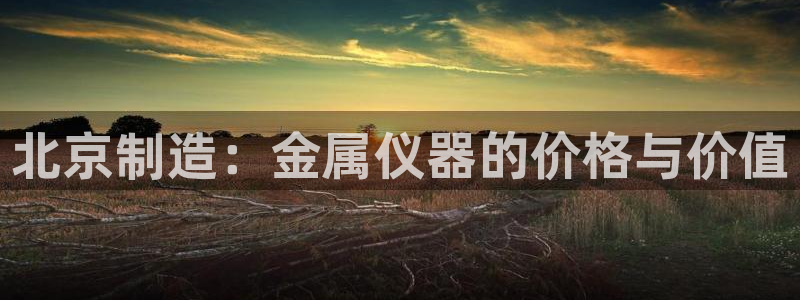 星欧娱乐怎么注册：北京制造：金属仪器的价格与价值