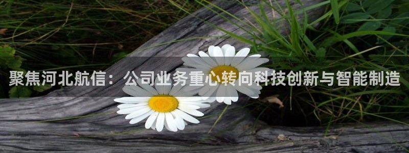 七星娱乐欧尼酱：聚焦河北航信：公司业务重心转向科技创新与智能