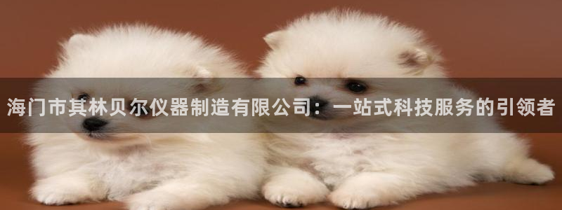 星欧娱乐官网入口手机版：海门市其林贝尔仪器制造有限公司：一站