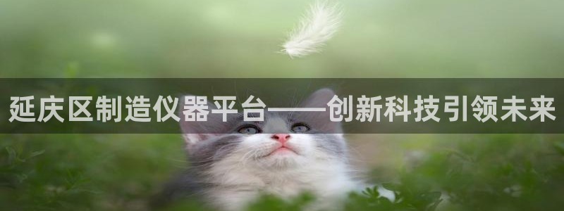 星欧娱乐最新活动：延庆区制造仪器平台——创新科技引领未来