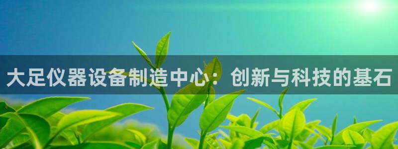 欧星娱乐备用网址：大足仪器设备制造中心：创新与科技的基石