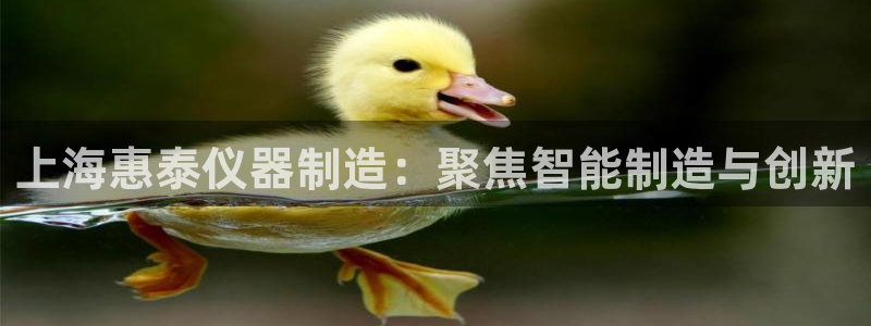 欧星娱乐08：上海惠泰仪器制造：聚焦智能制造与创新