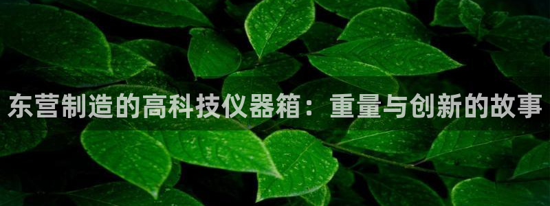 星欧娱乐app注册：东营制造的高科技仪器箱：重量与创新的故事