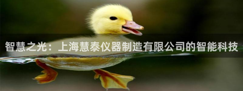 星欧娱乐经纪公司简介：智慧之光：上海慧泰仪器制造有限公司的智