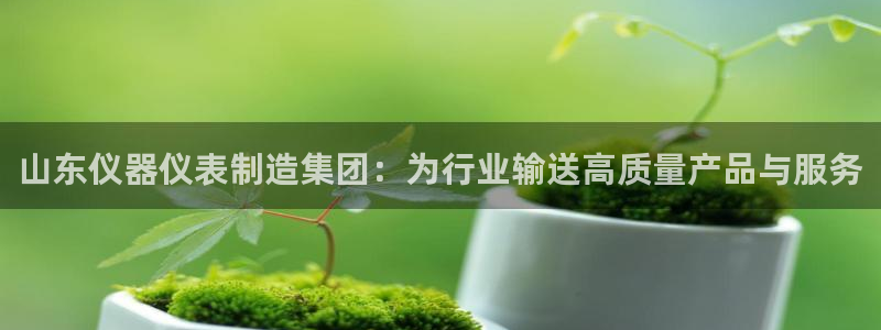 星欧娱乐客服人工电话：山东仪器仪表制造集团：为行业输送高质量