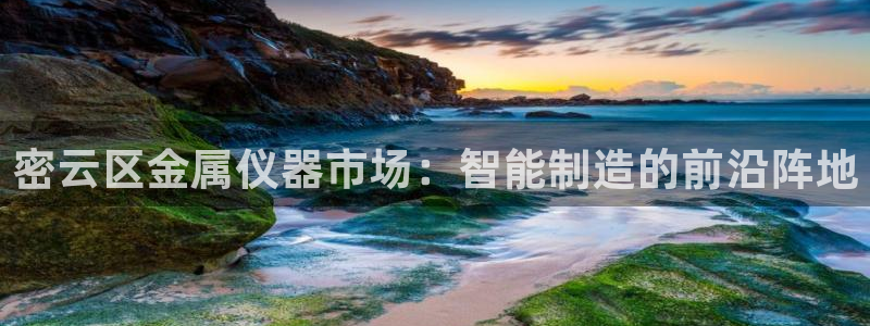 欧星娱乐是做什么的：密云区金属仪器市场：智能制造的前沿阵地