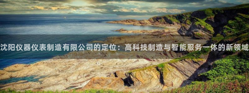 欧星娱乐网址：沈阳仪器仪表制造有限公司的定位：高科技制造与智