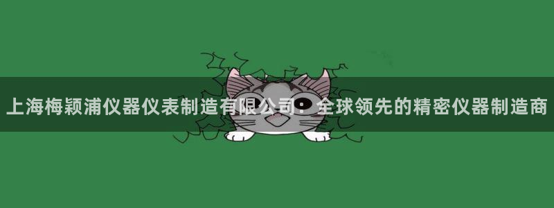 欧星娱乐视频：上海梅颖浦仪器仪表制造有限公司：全球领先的精密