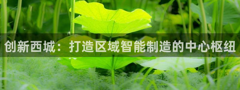 欧星娱乐 拉勾：创新西城：打造区域智能制造的中心枢纽